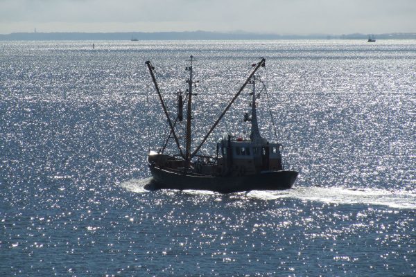 Fischkutter vor der Küste von Sassnitz auf Rügen